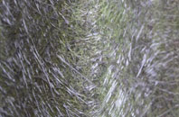 Hazel Grove fibreglass roof work